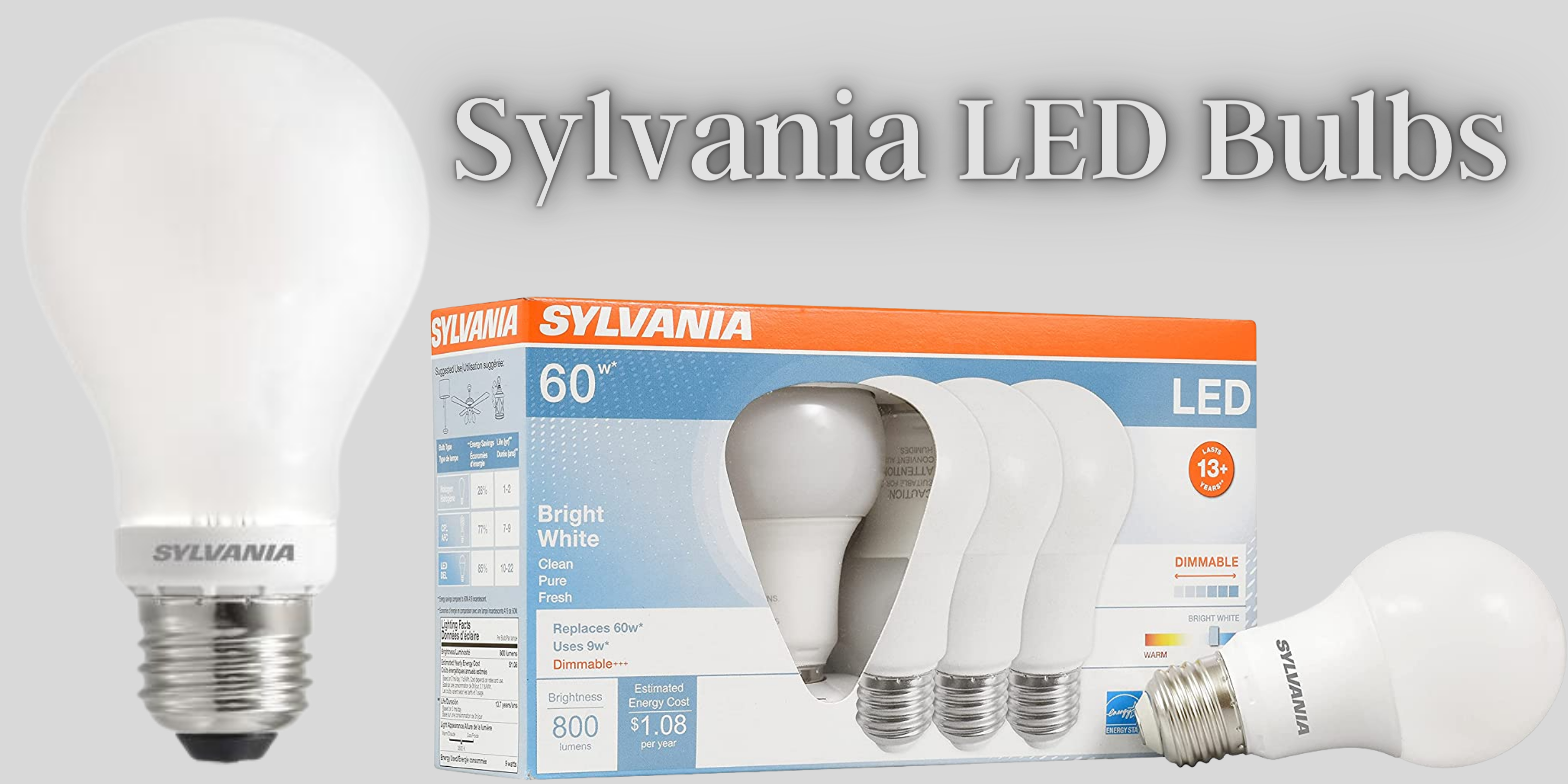 How to Choose the Right Sylvania A19 LED Bulb